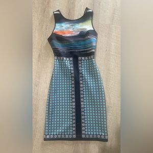 Clover Canyon Neoprene Sunset Mountain Bodycon Dress Sz XS